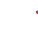 Betcris Review